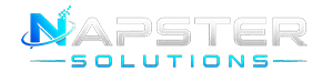 Napster Solutions Logo